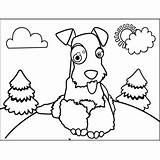 Setter Irish Coloring Pages Getcolorings Getdrawings sketch template