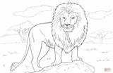 Coloring Lion Pages Löwen Printable Kids Choose Board Sheets Print Der Animal African sketch template