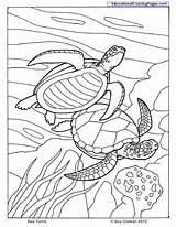 Coloring Pages Sea Turtle Animals Ocean Kids Printable Animal Seashore Colouring Sheets Book Color Books Dibujos Beach Turtles Printables Adult sketch template