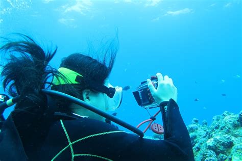 after she lost her camera scuba diving in japan this woman was shocked