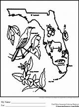 Florida Animals Coloring Pages State Map Kids Print Color Animal Popular Choose Board Ginormasource Found sketch template