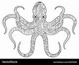 Octopus Coloring Adults Book Vector Royalty sketch template