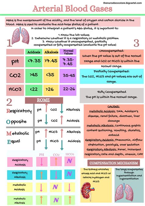 arterial blood gas levels chart   ondorvlv hwderolf studocu