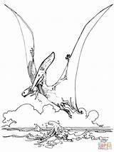 Pteranodon Pterosaur sketch template