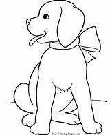 Coloring Dog Pages Dogs Animals Kids Cartoon Color Drawing Step Adults Drawings Printable Template Elephant Do Doge Getdrawings Cute Rainbow sketch template