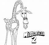Madagascar Melman Coloring Giraffe Pages sketch template
