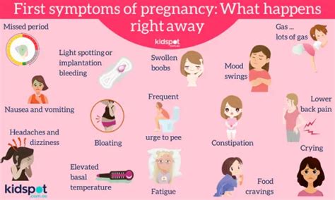 pregnancy week 1 to 4 signs and symptoms hercottage