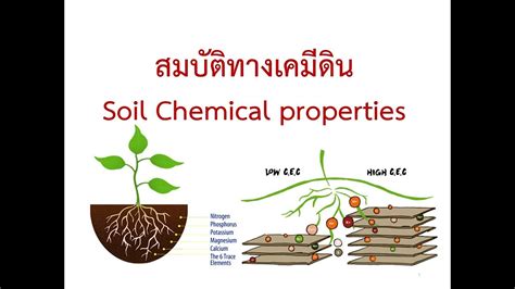 soil chemical properties  youtube