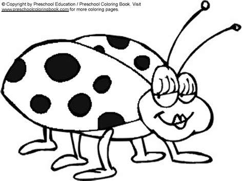 wwwpreschoolcoloringbookcom bug coloring page
