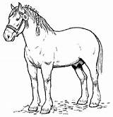 Horse Pages Coloring Colour Colouring Printable Print Horses Kids Color Adults Animal sketch template