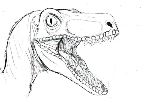 jurassoc  world blue raptor coloring pages coloring pages