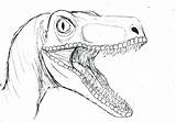 Raptor Dinosaur Jurassic Dedinosaurios Tools sketch template