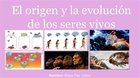 Origen Y Evolucion De Los Seres Vivos Dudas La Seleccion Natural Que Images