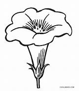 Cool2bkids Ausmalbilder Coloriage Blumen Maternelle Heliconia Bud sketch template