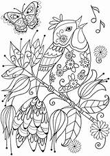 Mandalas Adultos Sommerblumen Dover Hayvan Ilosofia Adultcoloringpages Madamteacher sketch template