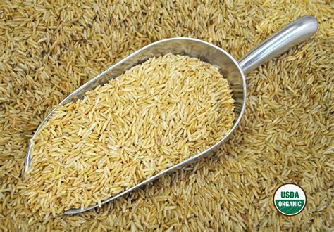 sweetgourmet organic long grain brown rice bulk lb  shippng ebay