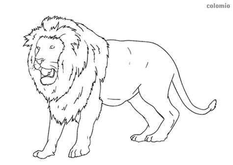 roaring lioness pages coloring pages
