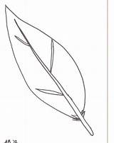 Turkey Feather Feathers Template Coloringhome Clipartix sketch template