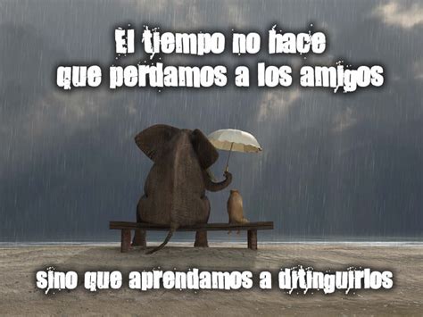 frases de amistad bonitas  el  del amigo
