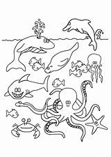 Vissen Kleurplaten Kleurplaat Poisson Fisch Unterwassertiere Poissons Mer Malvorlagen Coloriages Vis Colorier Tiere sketch template