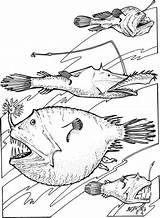 Coloring Fish Sea Deep Angler Pages Fishes Printable Supercoloring Ocean Animals Book Colouring Crafts Drawing Creatures Paper sketch template