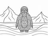 Vector Penguin Adults Coloring Book Illustration sketch template