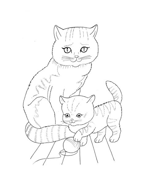 kid  cats  printable coloring pages  kids    detskie