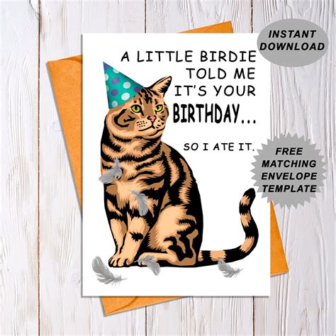 printable cat birthday card funny cats birthday card cat lover card