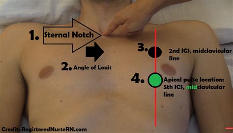 apical pulse assessment  location