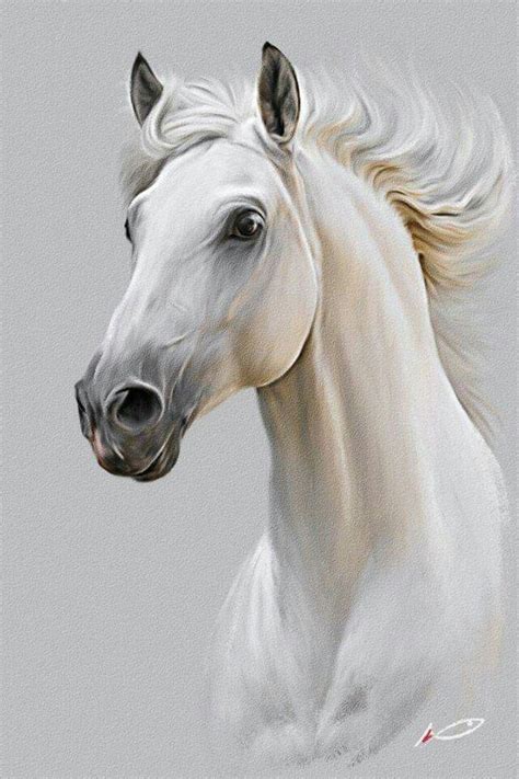 arabian horse colored pencil drawing horse drawings horse painting