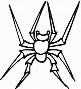 Spider Pages Widow Spinne Ausmalbilder Ausmalbild Spinnen Bestcoloringpagesforkids sketch template