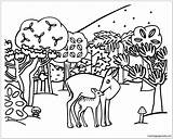 Woodland Animals Coloring Pages Color Online Print sketch template
