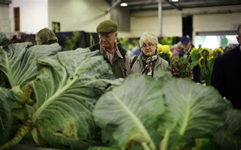 giant vegetables at harrogate autumn flower show knowledge updates