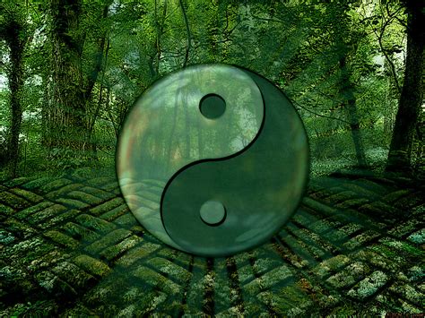 embracing the way of nature polarity and the tao