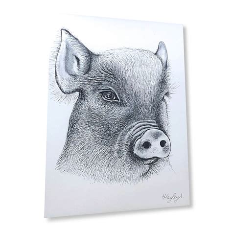 pig signed original print haylestar artworks