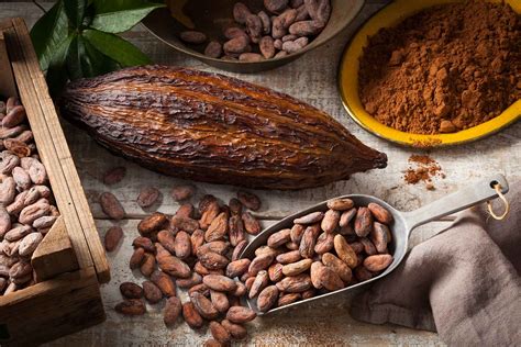 der kakaococoa und sein ursprung sierra madre
