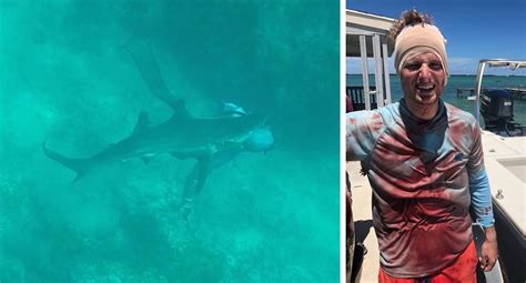 Bahamas Diver S Shark Attack Caught On Gopro Footage