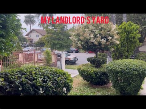 landlords yard youtube