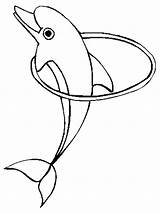 Lumba Mewarnai Ikan Delfino Delfini sketch template