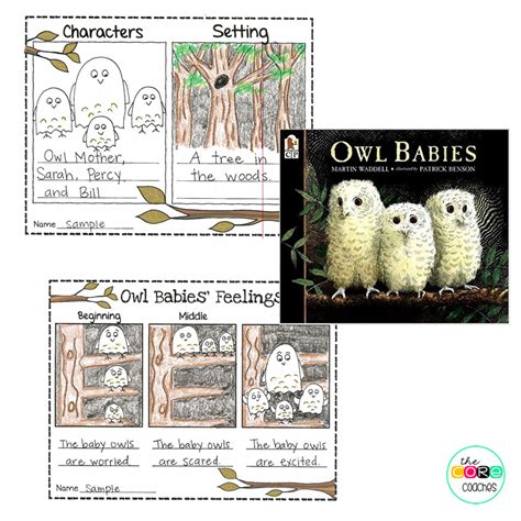 teach young students  characters feelings  owl babies owl