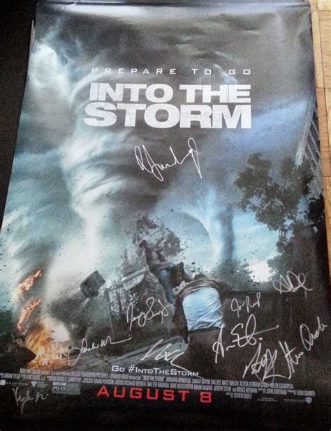 white rose sincere  simple thoughts  signed   storm poster