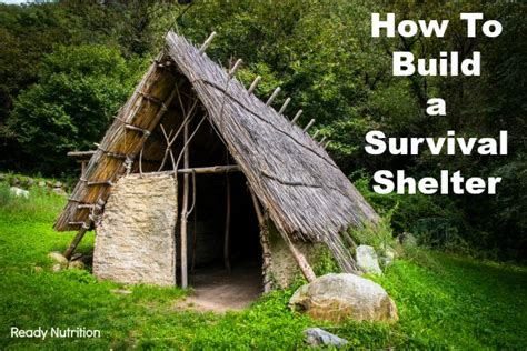 video   build  survival shelter  life  depend   survival