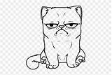 Cat Grumpy Coloring Pngfind sketch template