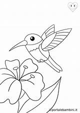 Uccelli Portalebambini Colibrì sketch template