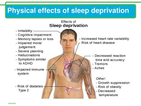Ppt Sleep Deprivation Can It Kill Us Powerpoint Presentation Free
