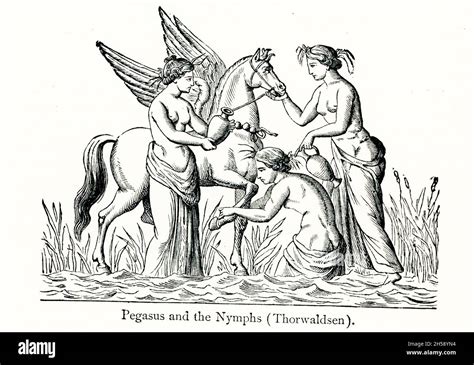 According To Greek Mythology The Hero Bellerophon With The Aid Of The