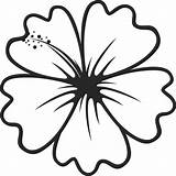 Outline Hibiscus Flower Stamp Clipart Rubber Leaf Flowers Transparent Stamps Stamptopia Clip Leaves Big sketch template