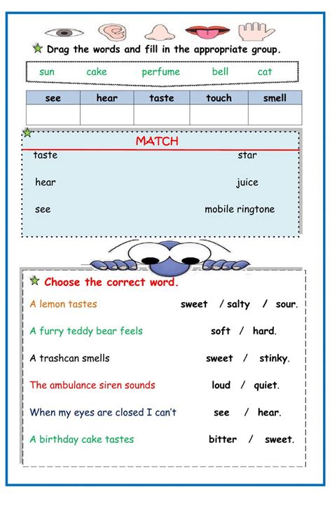 senses interactive worksheet  grade  worksheets  class  english worksheets