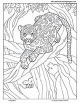 Ausmalbilder Dschungel Adult Sheets Rainforest Ausmalbild Dieren Ausmalen Coloriage Coloringhome Malvorlagen Ausdrucken Colouringpages Mandala Dschungeltiere Kostenlos Mammals Leopardo Jaguar Einfach sketch template