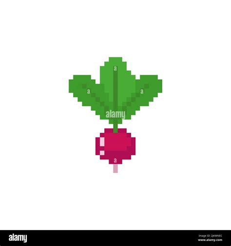 radish pixel art vegetable garden plant  bit pixelated vector